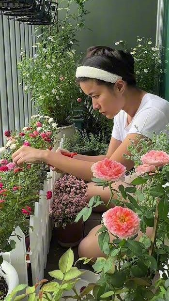 ปลูกต้นไม้เล็ก ๆ